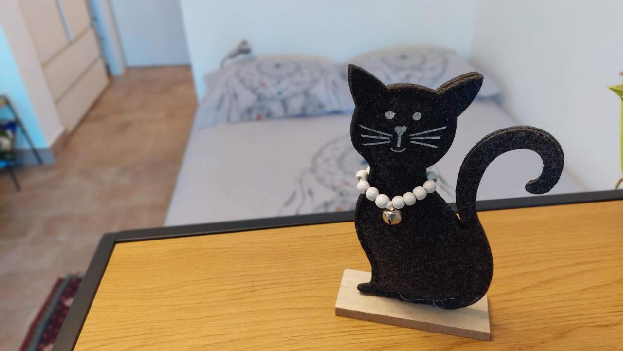 Pri Piratski Macki - At The Pirate Cat - Dal Gatto Pirata Koper Eksteriør bilde